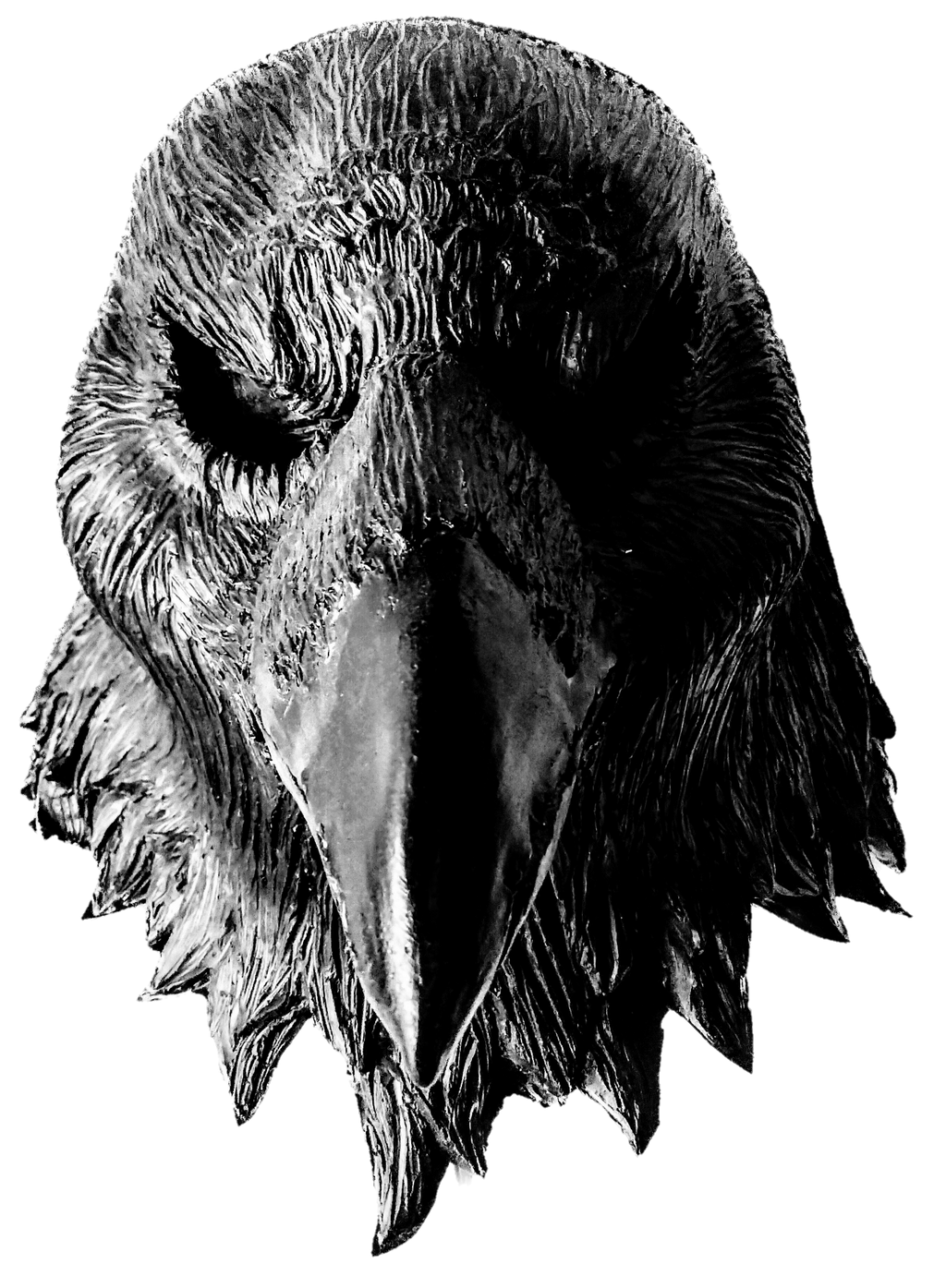 Raven Mask