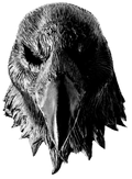Raven Mask