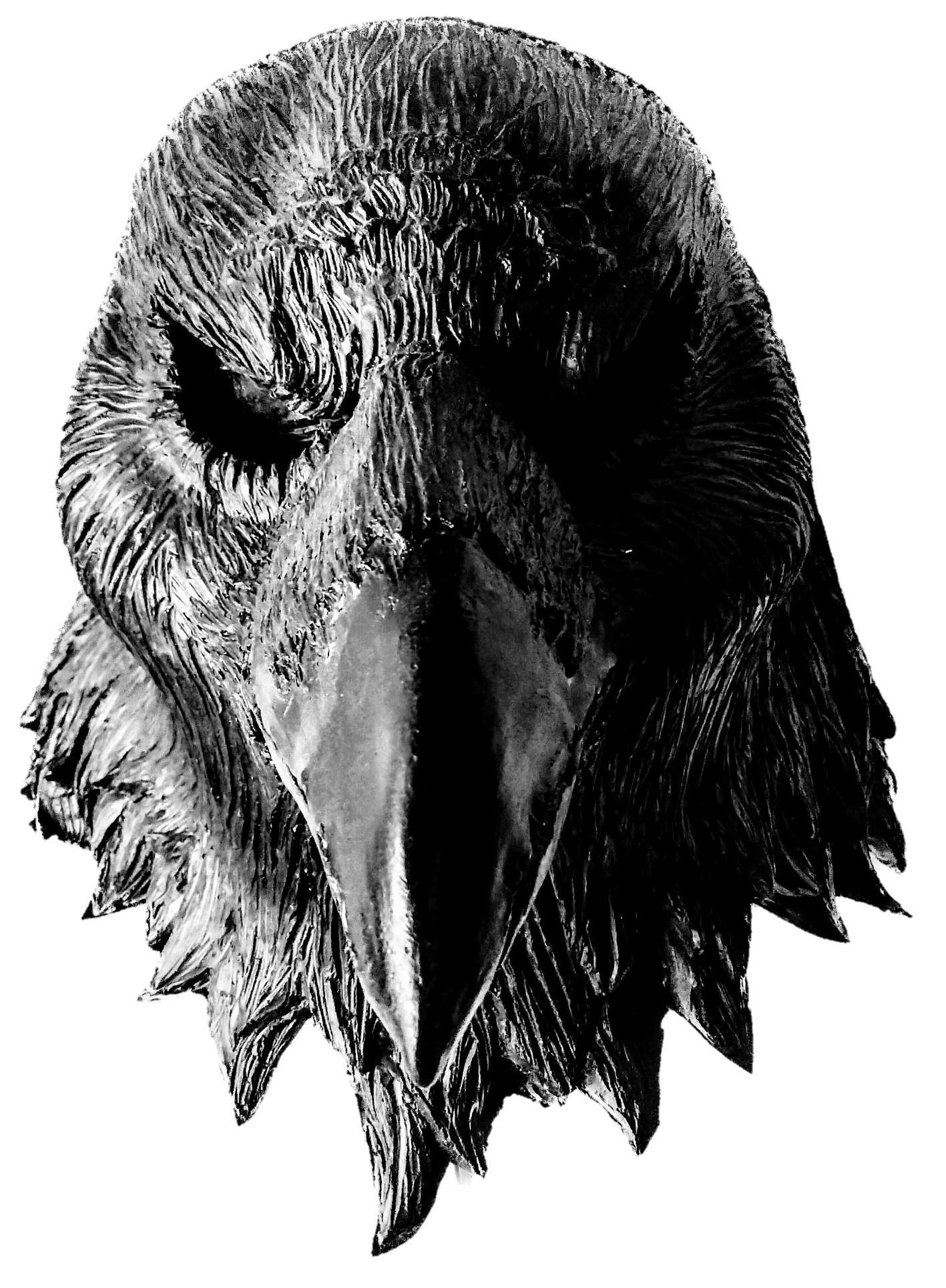 Raven Mask
