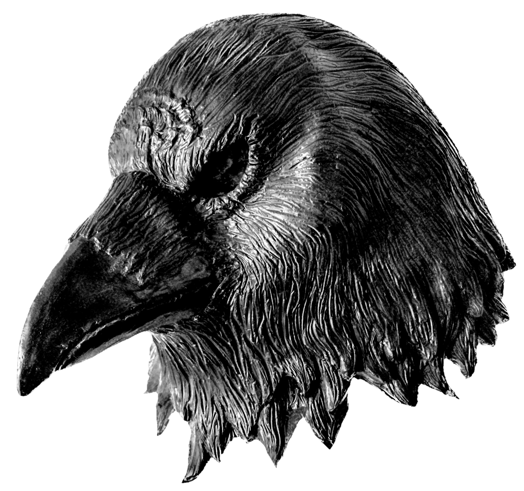 Raven Mask