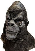 Ape Mask